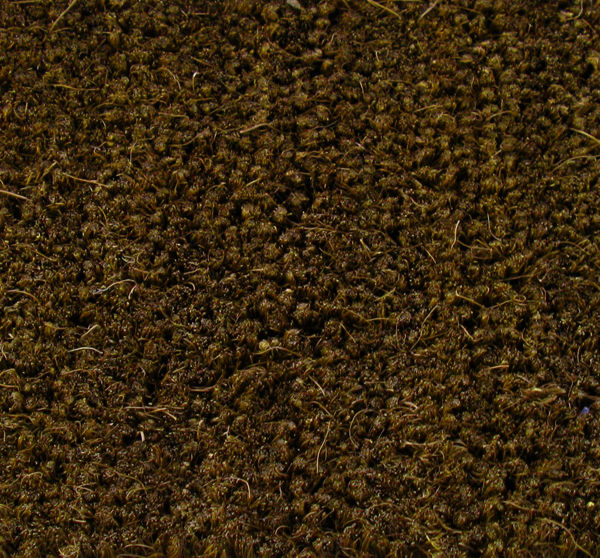 Cocoa Inlay Logo Mats are Custom Coco Mats by American Floor Mats