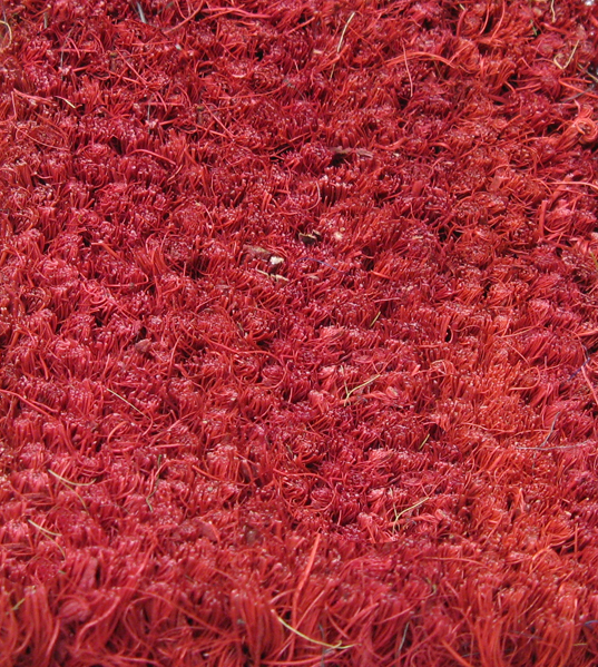 Cocoa Inlay Logo Mats are Custom Coco Mats by American Floor Mats