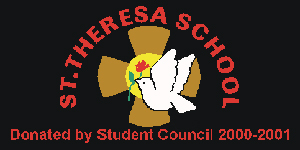 Premium Carpet School Logo Mats
